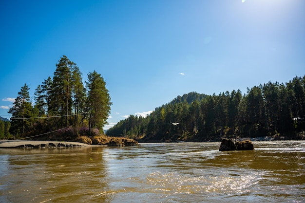 The altay landscape with mountain river katun and green rocks at spring time siberia altai republic