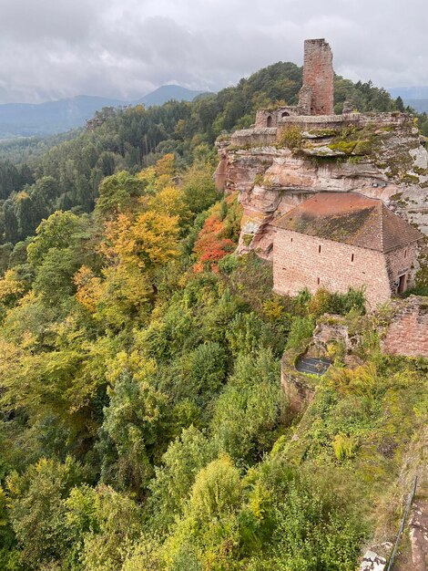 Photo altdahner burgen