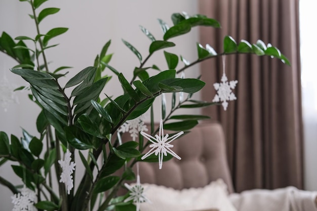 Alternatieve kerstboomplant zamioculcas is versierd met gebreide sneeuwvlokken