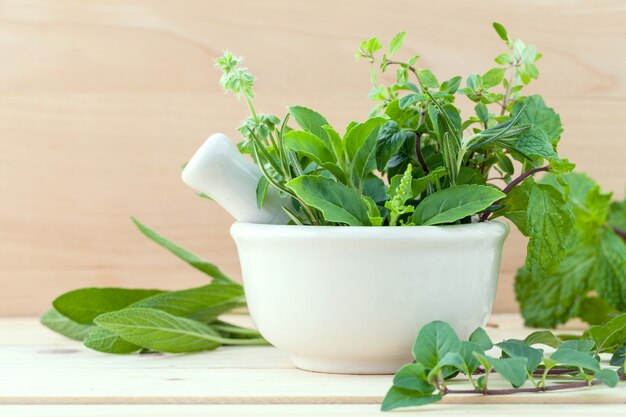 Alternative health care fresh herbs on wooden background.