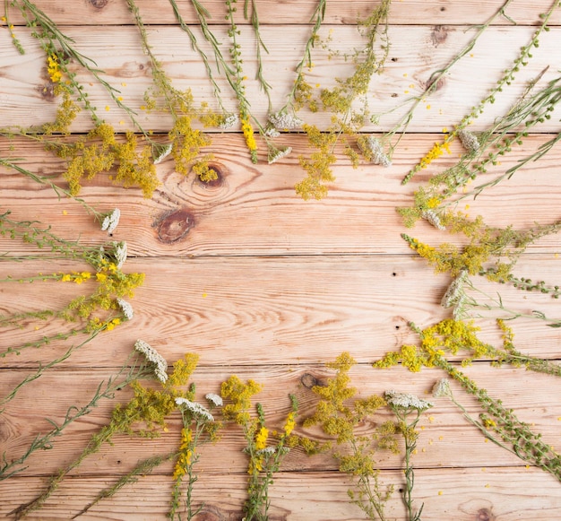 Alternative medicine concept herbs on wooden background