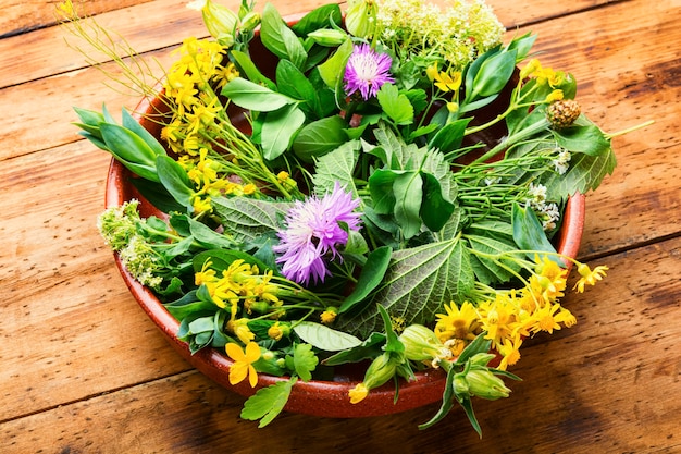 Alternative medicine, set of medicinal herbs and flowers.Natural medicine and homeopathy