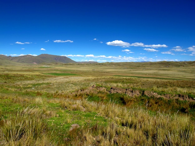 Altiplano in Andes, Peru, South America