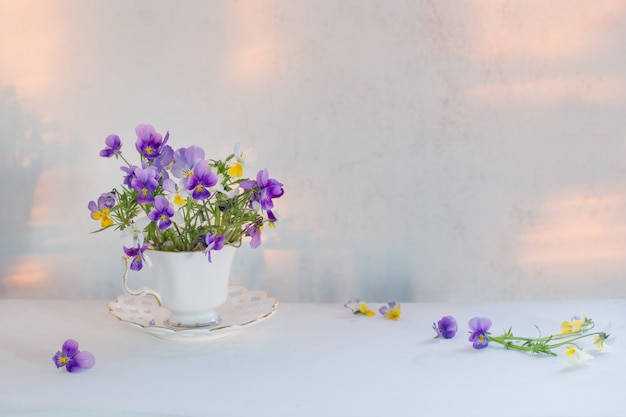 Altvioolbloemen in witte kop op witte achtergrond