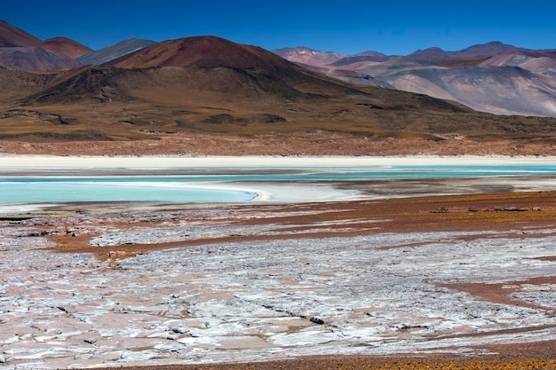 Alues Calientes Atacama Desert Chile