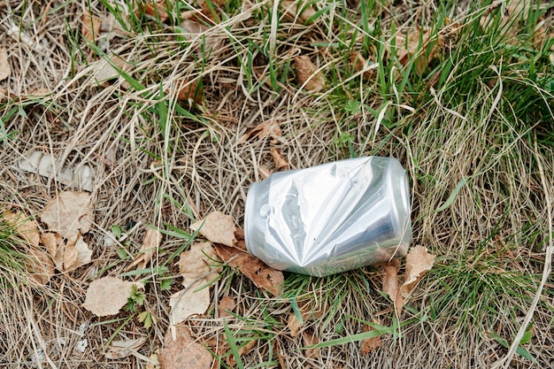 Aluminum Can on Ground