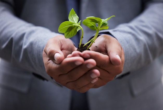 Always deliver more than expected Shot of an unrecognizable businessman holding a plant at the office