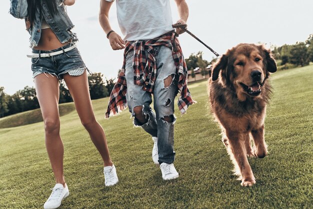 いつも一緒に幸せ。公園で自由な時間を過ごしながら犬と遊ぶ若い現代カップルのクローズアップ