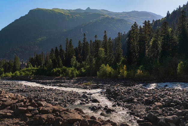 Amanauz River in Northern Caucasus Mountains on a summer day Dombay KarachayCherkessia Russia