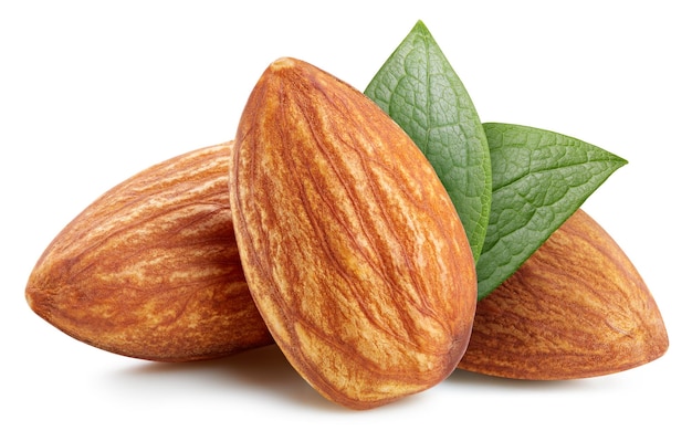 Amandel volle macroscheut noten gezond