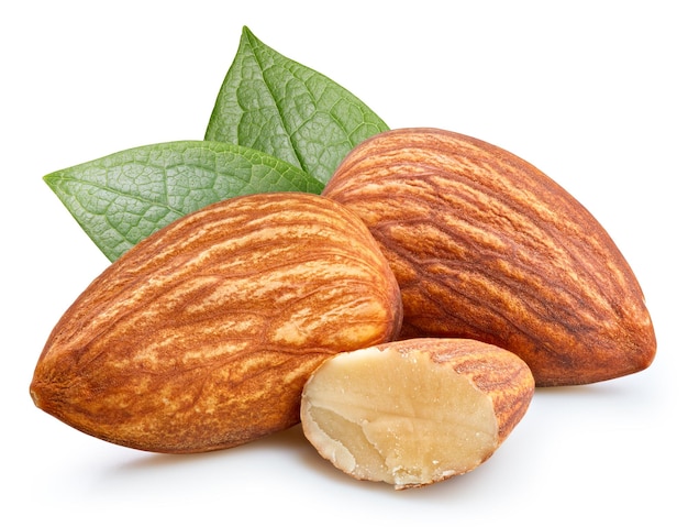 Amandel volle macroscheut noten gezond