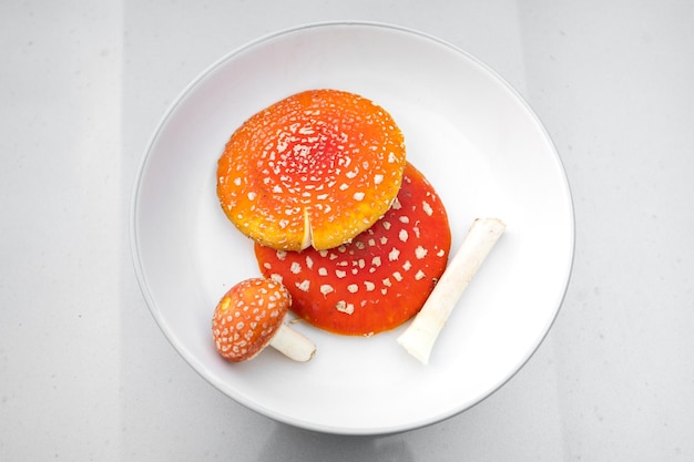 Amanita muscaria of vliegenamanita