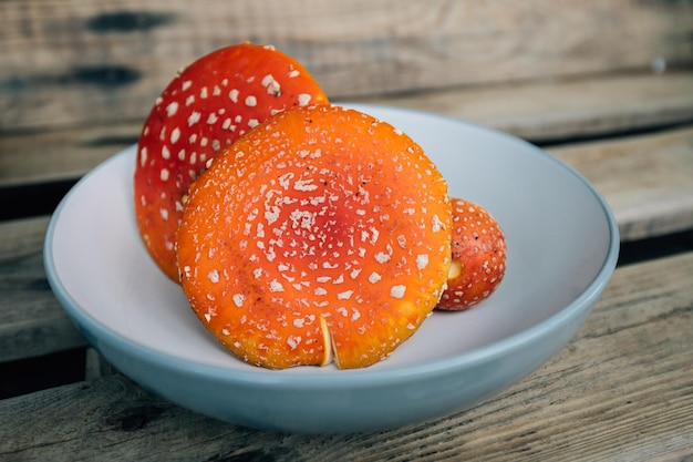 Amanita muscaria vliegenzwam muts