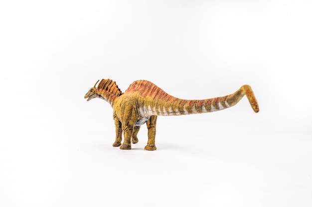 Amargasaurus, 흰색 배경에 공룡