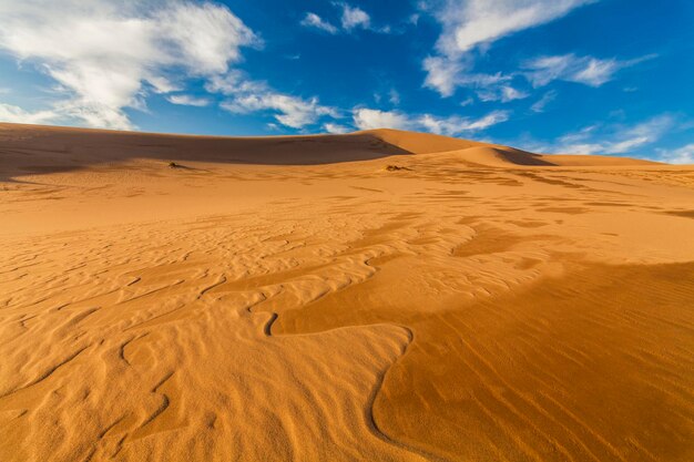 Foto incredibili motivi astratti sulla sabbia del deserto del gobi in mongolia