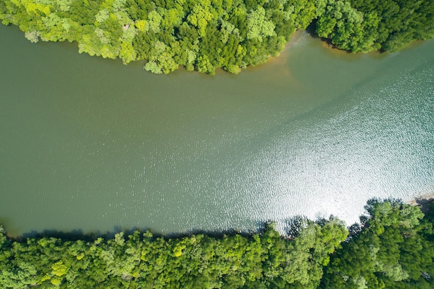 Amazing abundant mangrove forest aerial view of forest trees
rainforest ecosystem and healthy environment background texture of
green trees forest top down high angle view