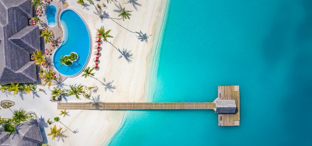 Amazing aerial Maldives sea lagoon palm trees pier pool sandy island beach Luxury travel vacation