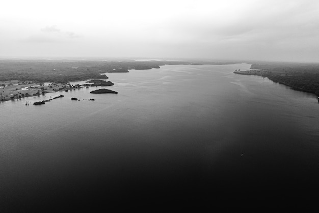 Premium Photo | Amazing amazon and jungle black and white photo high