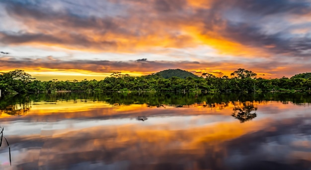 Amazing Amazon River with a beautiful sunset in the background in high resolution and sharpness concept amazon river of colombia brazil ecuador