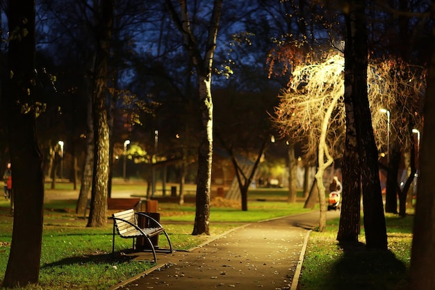 amazing autumn landscape in the city park