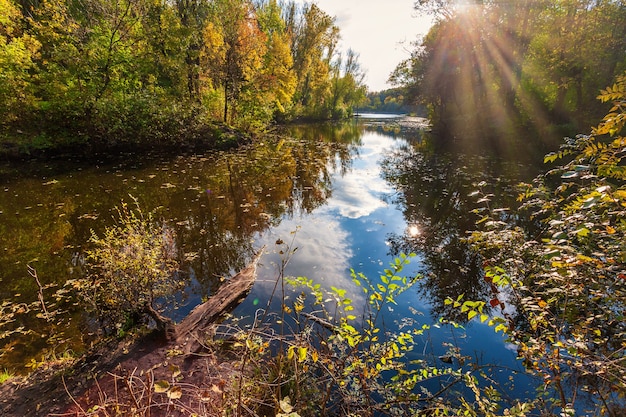 Amazing autumn landscape - small pond in the autumn park - A beautiful autumn day - colorful autumn