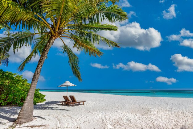 Amazing beach romantic chairs umbrella on sandy beach palm leaves sun sea sky summer couple