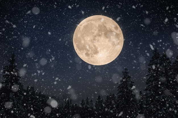 Amazing beautiful big moon in the night sky with stars and winter forest with snow Winter holidays and night landscape Snow falls