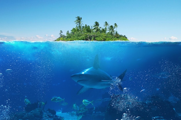 Удивительно красивый тропический остров с пальмами с подводными видами с акулами, рыбой и дикой природой в океане Концепция летних тропических каникул Креативная идея под водой