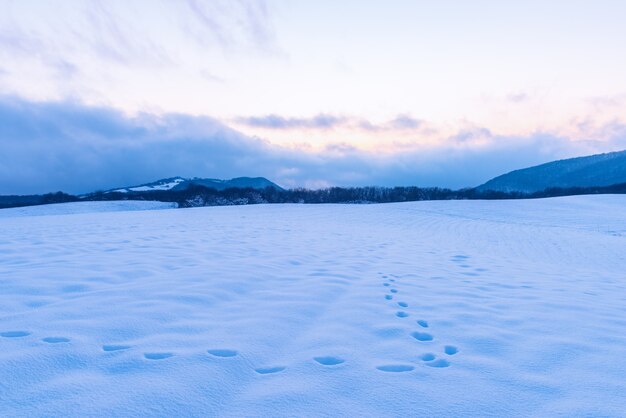 山の驚くべき美しい冬の夕日