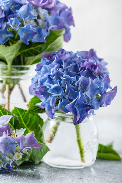 Amazing blue hydrangea flowers in the glass vase