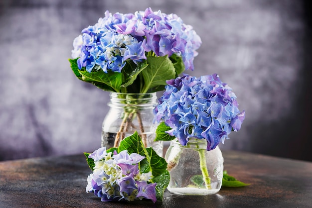 Amazing blue hydrangea flowers in the glass vase