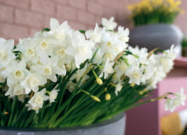 Amazing bouquet of white daffodils in the vase