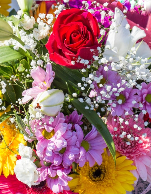 自然の中で驚くほどカラフルな春の花