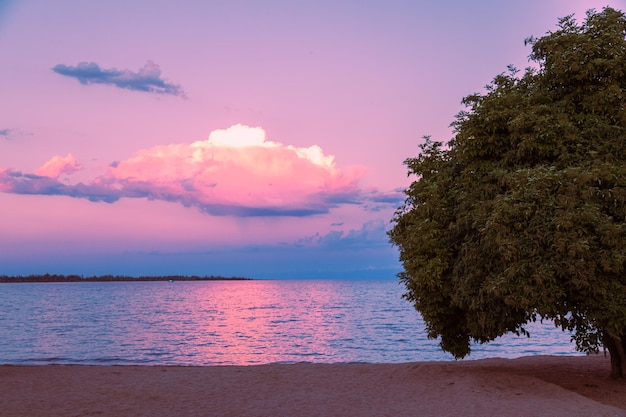 Amazing colorful sunset over lake with huge cloud and tree silhouette