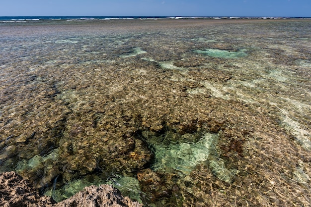 サンゴの岩の間に形成された素晴らしい透き通った海水の自然のプール晴れた日