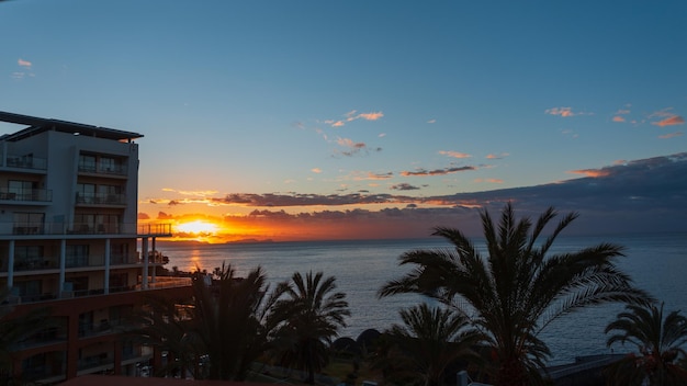 Amazing early morning sunrise with palm trees and ocean in Madeira island