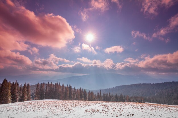 Photo amazing evening winter landscape.