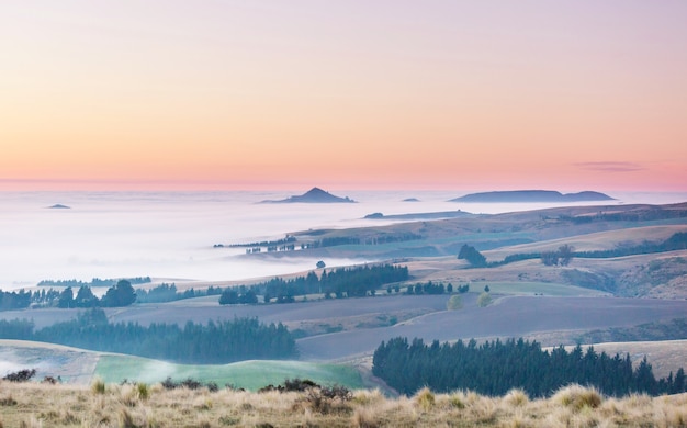 Photo amazing foggy rural landscapes at morning. new zealand beautiful nature