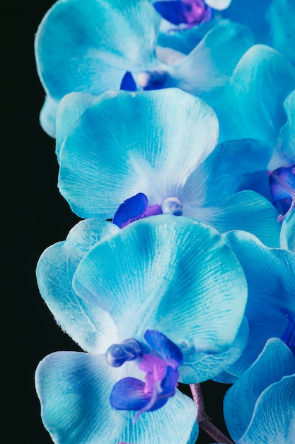 Photo amazing fresh blue blooms