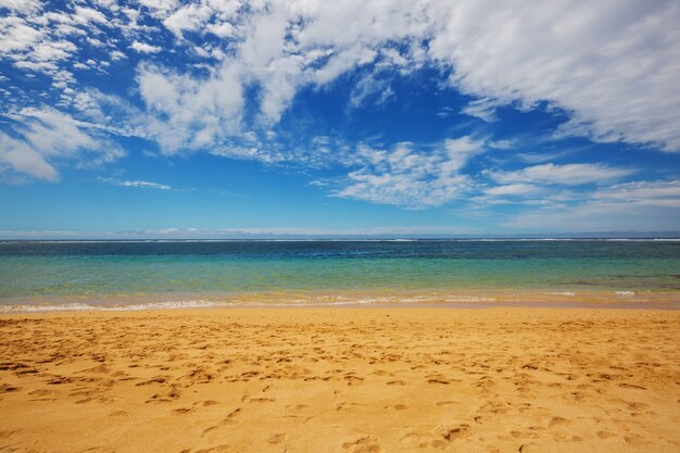 Удивительный гавайский пляж