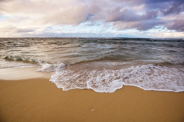 Amazing hawaiian beach