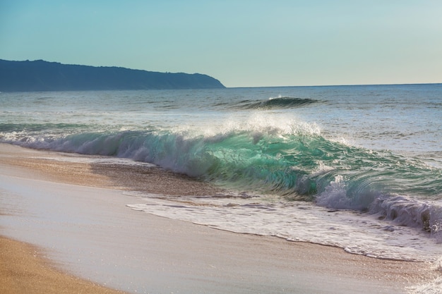 Amazing hawaiian beach