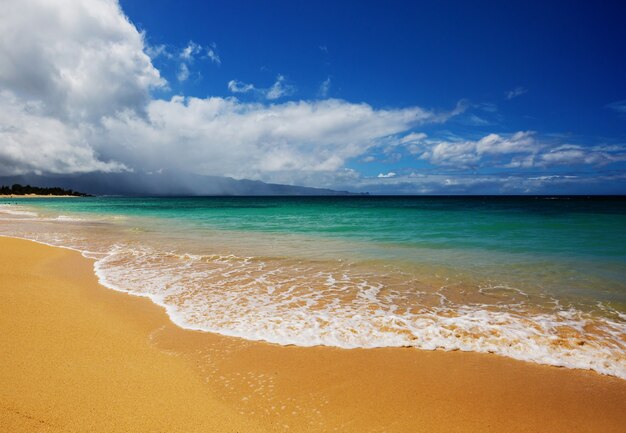 Foto incredibile spiaggia hawaiana