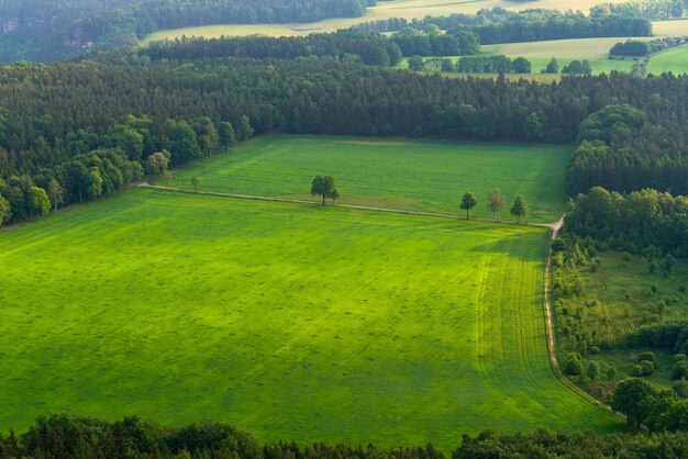 Photo amazing landscape of green fields and trees saxon switzerland germany lilienstein