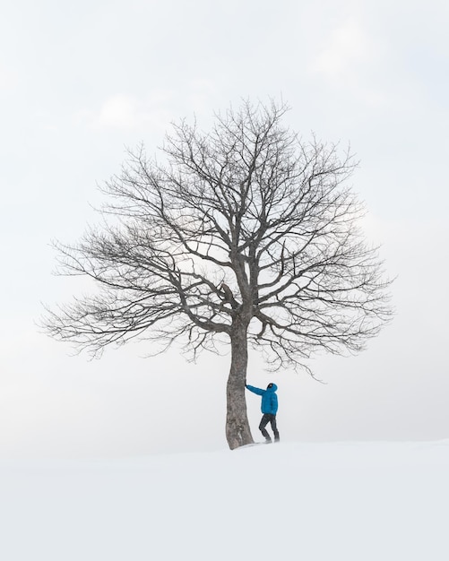 Incredibile paesaggio con un uomo vicino a un albero innevato solitario