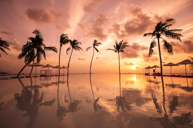 Amazing leisure poolside reflection palm trees silhouette beachfront Sunset sky sea luxury vacation