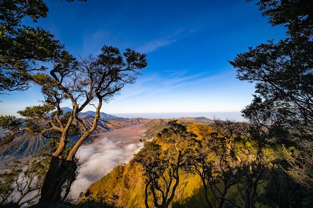 Photo amazing mount bromo volcano during sunny sky from king kong viewpoint on mountain penanjakan in bromo tengger semeru national parkeast javaindonesianature landscape background