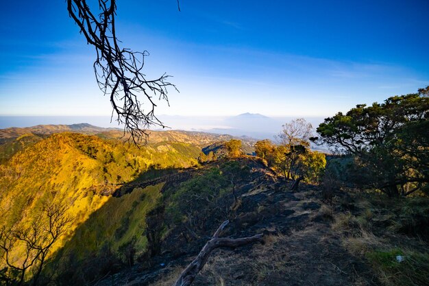 Photo amazing mount bromo volcano during sunny sky from king kong viewpoint