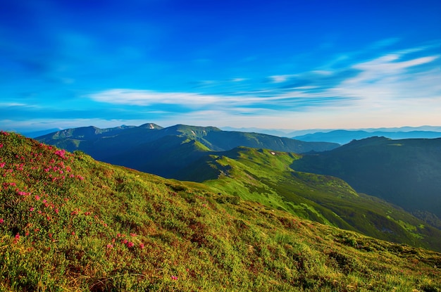 Incredibile paesaggio di montagna con cielo blu, sfondo naturale di viaggio all'aperto. il mondo della bellezza. vista panoramica.