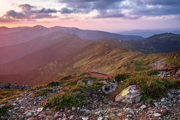 素晴らしい山の風景